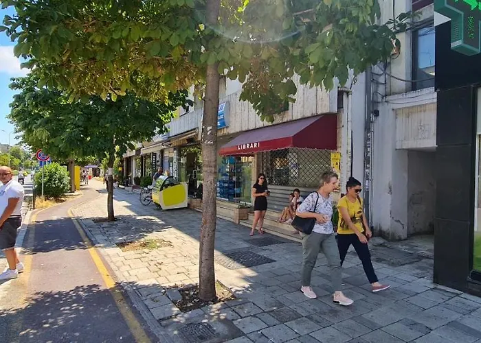 2v1 - 21 Dhjetori * Tirana